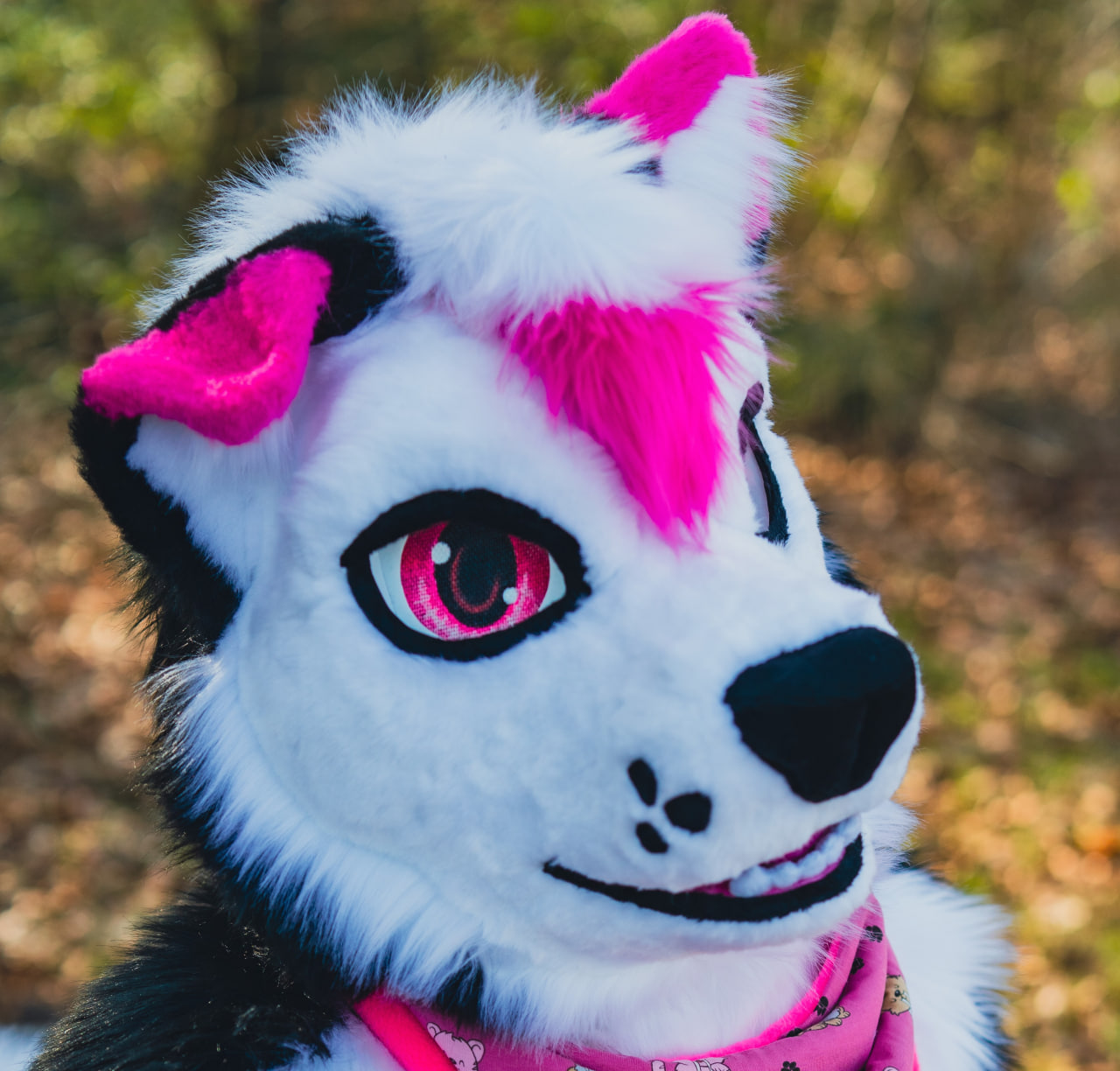 profile-picture